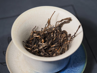 Premium dry leaves of 2023 first flush Bulang Puerh tea placed in a white porcelain Gaiwan before brewing.