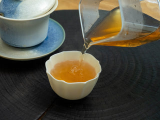 Pouring the amber-colored aged raw Puerh tea liquor into a white ceramic tasting cup.