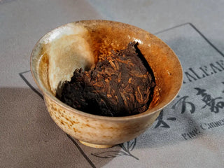 Small pried piece of Bulang Mountain Ancient Tree Ripe Pu-erh placed into a gaiwan, ready for brewing