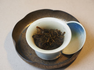 Wet raw puerh tea leaves blooming inside the ceramic gaiwan after steeping.