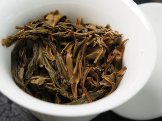 2020 Dazhai Ancient Tree Raw Pu-erh Tea – Brewed Leaf Base Showing Tender Whole Leaves, Proof of Ancient Tree One Bud Two Leaves Harvest
