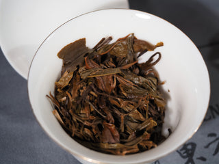 Macro shot of wet, spent ancient tree Lao Man'e raw Puerh tea leaves in a Gaiwan showing texture and resilience.