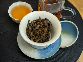 Wet tea leaves (leaf bottom) inside the Gaiwan alongside bright cups of 2006 aged raw Puerh tea.