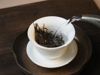 Pouring hot water over ancient tree sheng pu-erh tea leaves in a gaiwan