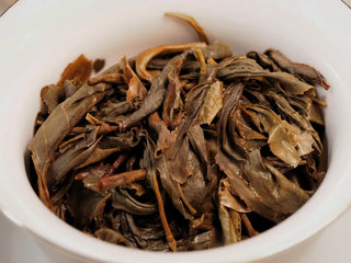 Close-up of fully unfurled infused leaves from 2019 Lincang Ancient Arbor Sheng Pu-erh Tea Cake highlighting healthy leaf texture and mid-aged character