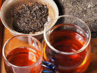 Full view of the YXT Jingyang Fu Tea Ximanzi 2018 brewing setup, showing liquor and wet leaves (ye di) side-by-side.