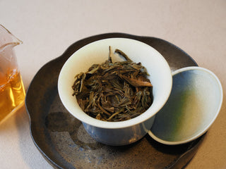 Fully infused wet ancient tree raw puerh leaves spread out, showing uniformity and elasticity.