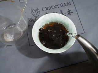 Steeping the first official brew of 2006 Dayi 7572 ripe Puerh tea in Gaiwan