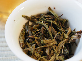 Macro view showing the uniform size and tender structure of infused 2026 Tan Chun raw Puerh tea leaves.