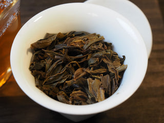 Close-up detail of brewed wet Mangfei Mountain ancient tree raw Pu-erh leaves