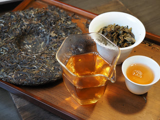 Complete tea tasting session setup for Mangfei Mountain ancient tree raw Pu-erh tea