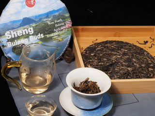 Full product set of Sheng Bulang Buds 2023 First Flush Raw Puerh Tea Cake with brewed tea and teaware.