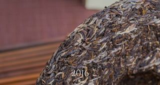 2006-2023 Mengku Rongshi Qiaomu Wang Arbor King | The Complete Collection