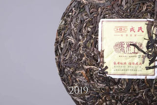 2006-2023 Mengku Rongshi Qiaomu Wang Arbor King | The Complete Collection