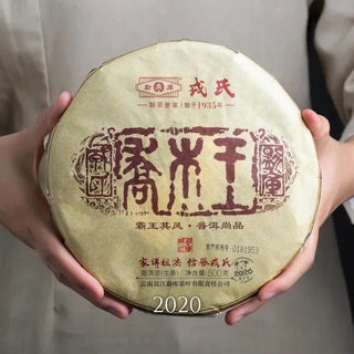 2006-2023 Mengku Rongshi Qiaomu Wang Arbor King | The Complete Collection