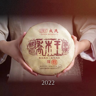 2006-2023 Mengku Rongshi Qiaomu Wang Arbor King | The Complete Collection