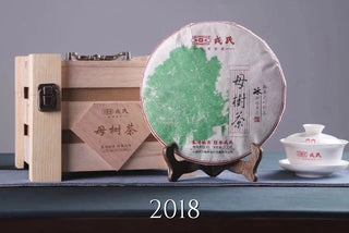 Mengku Rongshi Mu Shu Sheng Puerh Vintages (Xi'an Dry Stored)