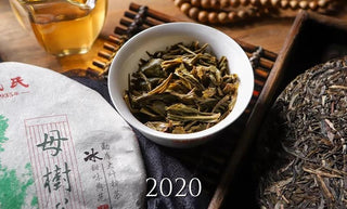 Mengku Rongshi Mu Shu Sheng Puerh Vintages (Xi'an Dry Stored)
