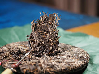 Close-up of a small piece of 2023 Menghai First-Flush Golden Abundance Raw Puerh Tea (357g), showing delicate silver tips and tightly rolled leaves.