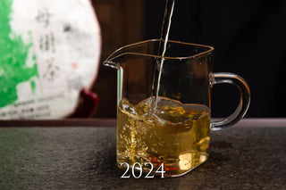 Mengku Rongshi Mu Shu Sheng Puerh Vintages (Xi'an Dry Stored)