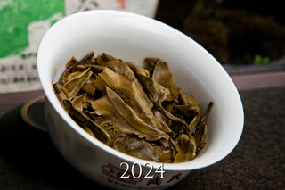 Mengku Rongshi Mu Shu Sheng Puerh Vintages (Xi'an Dry Stored)
