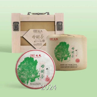 Mengku Rongshi Mu Shu Sheng Puerh Vintages (Xi'an Dry Stored)