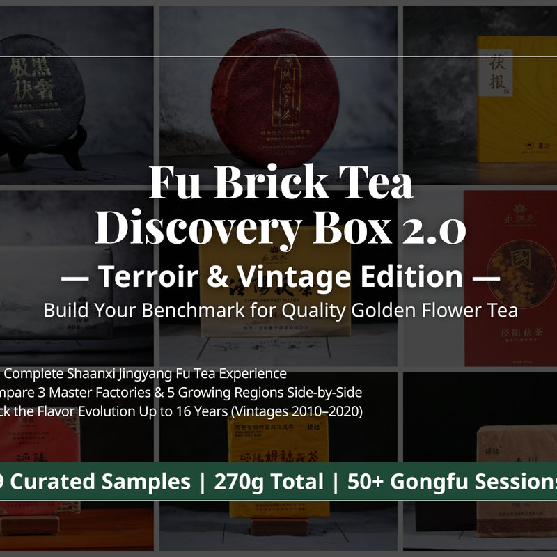The Best Tea for Your Body Type: Personalized TCM Guide for Wellness ...