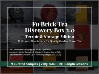 A technical graphic design layout for the Shaanxi Jingyang Fu Zhuan Tea tasting kit. The background displays 9 distinct premium tea brick samples under a dark transparent overlay. Minimalist white text outlines the framework: Fu Brick Tea Discovery Box 2.0, Terroir & Vintage Edition, comparing 3 master estates and 5 terroirs side-by-side with a 16-year aging evolution (2010–2020 vintages). A prominent bottom data bar specifies 270g total and 50+ Gongfu sessions to build a benchmark for quality Golden Flower