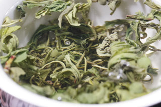 Huangshan Cloud Mist Green Tea – Early Spring Harvest from Yellow Mountain