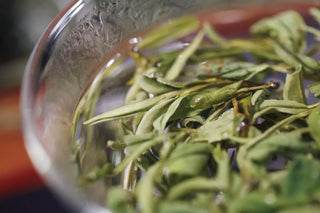 Huangshan Maofeng Green Tea – First Grade Pre-Guyu Harvest from Yellow Mountain