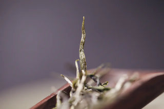 Huangshan Maojian Special Grade Pre-Guyu Green Tea