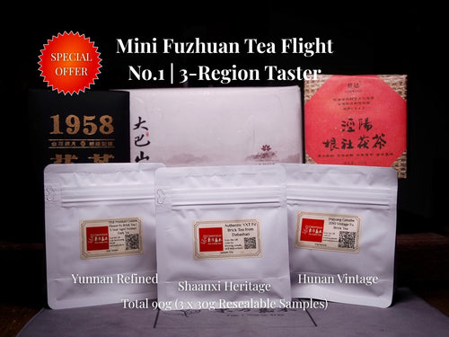 Mini dégustation de thé Fuzhuan n°1 | Dégustation 3 régions