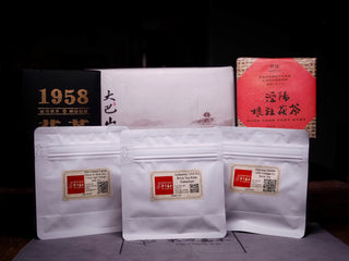 Mini Fuzhuan Tea Flight No.1 | 3-Region Taster