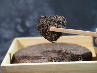 Misty Gold Bud Ripe Pu-erh Tea Cake – Menghai First-Spring-small piece of tea held with tea tongs, highlighting the texture and dense golden buds
