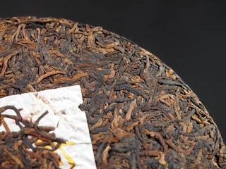 Misty Gold Bud Ripe Pu-erh Tea Cake – Menghai First-Spring-detailed front view of the tea cake, emphasizing the evenly spaced golden buds