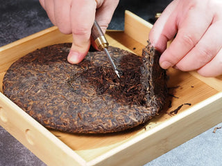 Misty Gold Bud Ripe Pu-erh Tea Cake – Menghai First-Spring-small portion of the tea cake lifted with a tea needle, revealing detailed texture and golden buds
