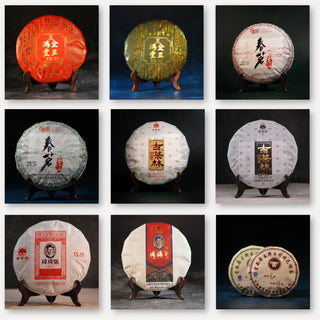 Puerh Tea Raw (Sheng) + Ripe (Shou) Discovery Box – 9 Varieties (Total 340g)