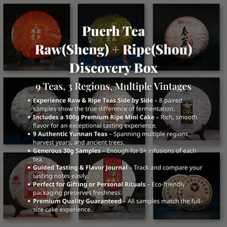 Puerh Tea Raw (Sheng) + Ripe (Shou) Discovery Box – 9 Varieties (Total 340g)