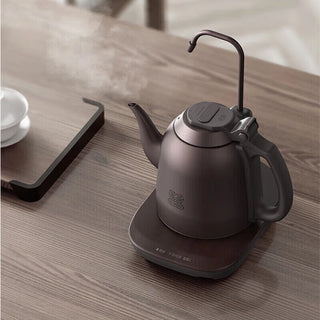 K·KOU Electric Kettle TB009G