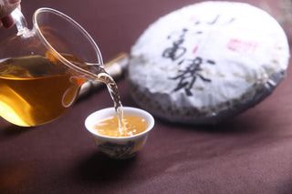 Golden-yellow tea soup of Xiao Hu Sai Sheng Pu-erh being poured into a teacup, demonstrating the brew quality.