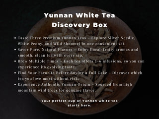 Yunnan White Tea Discovery Box