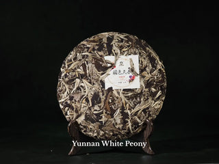Yunnan White Tea Discovery Box-White Peony