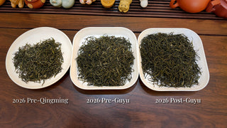 紫陽硒含有緑茶｜三つの春の収穫