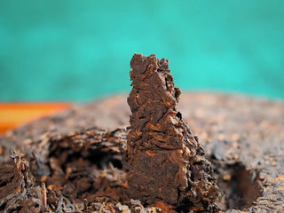 Close-up of a pried-off chunk of aged Pu-erh, clearly showing the rich leaf texture and vintage character