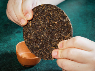 Chang'an Golden Flower Fu Brick Tea Mini Cake – 60g held in hands for size reference