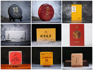 A 3x3 grid showcasing 9 distinct samples of authentic Shaanxi Jingyang Fu brick tea. The assortment displays various artisanal forms, including compressed rectangular tea bricks and round dark tea cakes in traditional paper wraps and estate packaging.