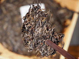 Detail of Hidden Mountain Raw Pu-erh Tea Cake (357g) with tea clamp lifting a small portion, illustrating brewing preparation.