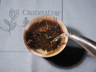 Hot water poured over Hidden Mountain Raw Pu-erh Tea Cake (357g) in gaiwan, illustrating proper Gongfu brewing method.
