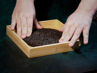 Spring Ming Ripe Pu-erh Tea Cake (2008 Commemoration) – Menghai, Yunnan hands pressing the edge of the tea cake to loosen leaves, showing preparation for brewing.