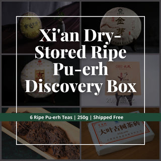 Xi'an dry-stored ripe Pu-erh Discovery Box featuring 6 ripe Pu-erh teas, 250g total